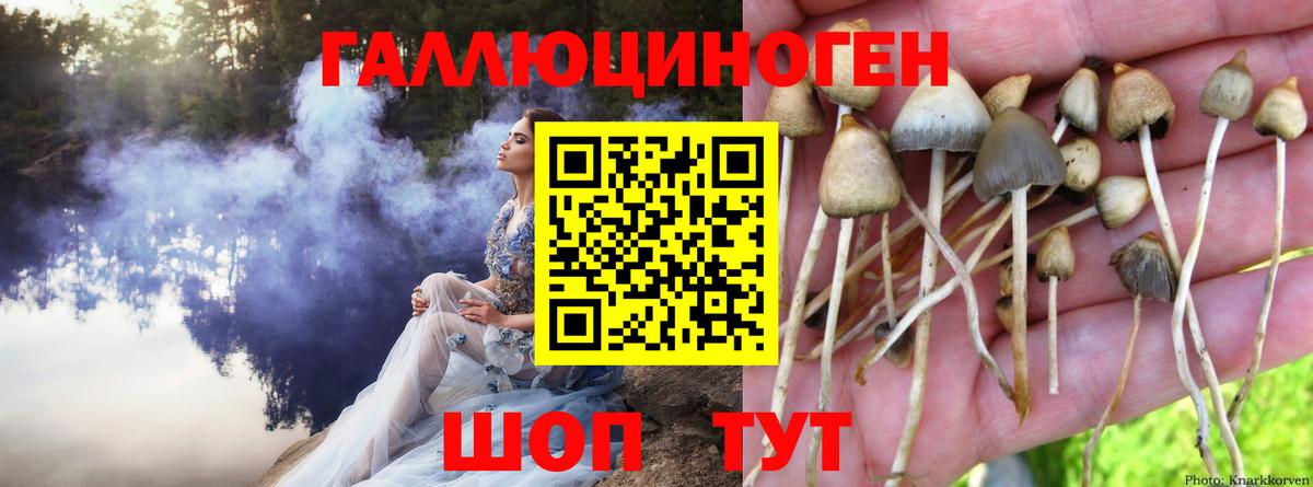 Псилоцибиновые грибы прущие грибы  Вход с VPN  Нефтеюганск 